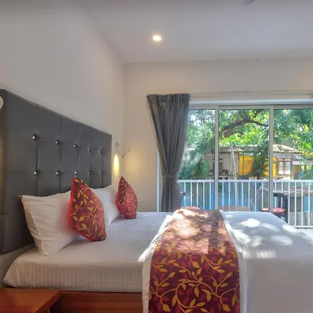 Amazing 2Bhk Apartment Near Baga Beach